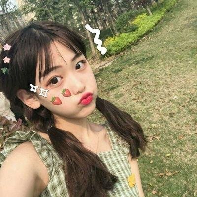 狐狸的故事